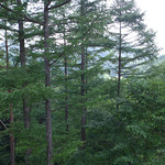 Prince Hotel Karuizawa Asama