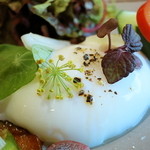 ルカンケ - 温かい燻製したカジキマグロのサラダニソワーズ　赤ピーマンのクーリ