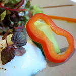 ルカンケ - 温かい燻製したカジキマグロのサラダニソワーズ　赤ピーマンのクーリ