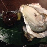 オイスターとおばんざい 石花Hanare - 生牡蠣