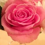 スタルカ - テーブルに飾られたバラ。