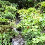 テラスレストラン - 2015/8