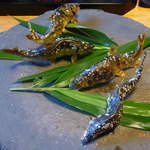 比良山荘 - 琵琶湖産鮎の塩焼き（２）