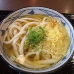 Marugame Seimen - かけ(並)