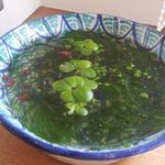 Roof Okurayama - 内観。これは食べ物ではありません。中に魚が泳いでいます。