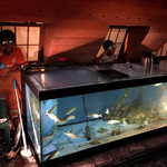 海鮮問屋 北前船 - 