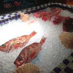 ラ･スコリエーラ - お好きなお魚選べます