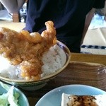 田園 - このサイズを見よ！
