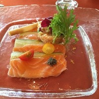 ラ・テラス イリゼ - 前菜です。サーモンときゅうりのミルフィーユ、オレンジソースかけ…みたいな感じだったと。サーモンのタルタルみたいなのものってました。奥にあるのはチーズを皮で巻いてありました( ^ω^ )
                サッパリおいしー♡