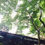 Pepacafe FOREST - 