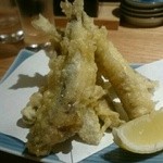 いなせや ハナレ - 稚鮎の天ぷら