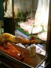 イベリコ屋 心斎橋店 - ショーケース