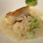 ルパン ミュラ - ヒラメの下にはリゾット