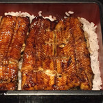 Unagi Toku - 鰻重 並