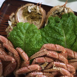 民宿 500マイル - ウェルカムかに