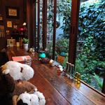 cafe マロニエ - 店内はテーブル席とカウンター席があるので、ボキらはテーブル席に。
      この席は目の前が大きな窓になってて、お庭の緑がいっぱい見えるよ。
