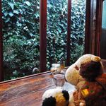 cafe マロニエ - お食事が終わったあとも、しばし窓の外を眺めてのんびりするボキら。なんだか落ち着くな～
      他にも美味しそうなメニューがいろいろあるので、またぜひ食べに来よう！素敵なお店を教えてくれた、それいゆさんに感謝～