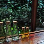 cafe マロニエ - う～ん、とても都会の真ん中にあるお店と思えないねぇ。