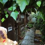 cafe マロニエ - ここから少し奥に入って左手に入り口があるよ。
      右手の壁も蔦がからんでいて、とってもいい感じだね。