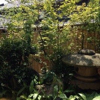 キャンドル卓 渡邉邸 - お庭