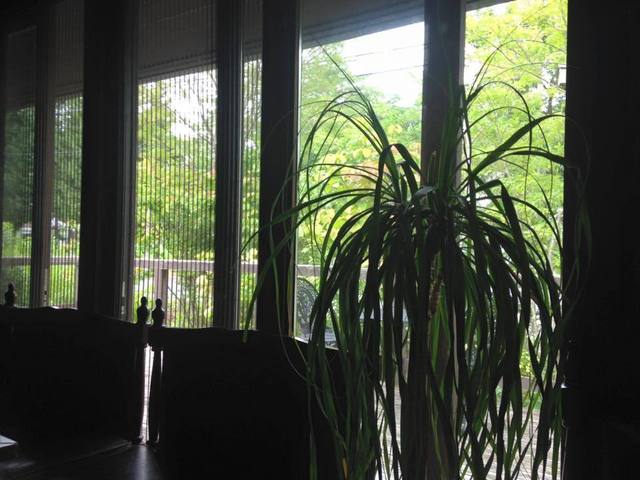 Half Note（ハーフノート） - 陸中折居（カフェ）の写真