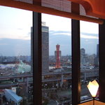 梅の花 - もっと暗くなったらもっといいかも