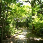 旧細川刑部邸 喜遊亭 - 門から茶室までの露地も趣があります