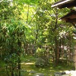 旧細川刑部邸 喜遊亭 - 深い緑