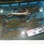 マルナカ - ワタリガニも活で！