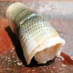 すし匠 - 新コハダ