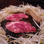 炭火焼 生ラム ジンギスカン だるまや 新宿西口本店 - 生ラムジンギスカン