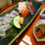 名古屋 浅田 - 造り（はた薄造り、めじまぐろ、伊勢海老）