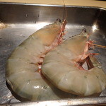 花小町 - 水俣産足赤海老