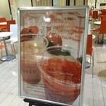 VITO - ココから先でいただきます。