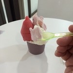 VITO - ヨーグルトの酸味とブルーベリーの風味が合わさったジェラートです。