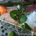 和亭 - お造り盛り合わせ