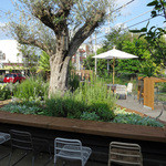 ファーム トゥー ユー -  August 4, 2015 @3:30pm 