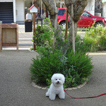 由比ケ浜通りを背にスマイル