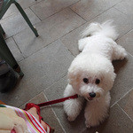 ファーム トゥー ユー - テラスはワン OK〜♬