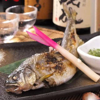 とっちゃば おいしい魚とこだわりの酒_1