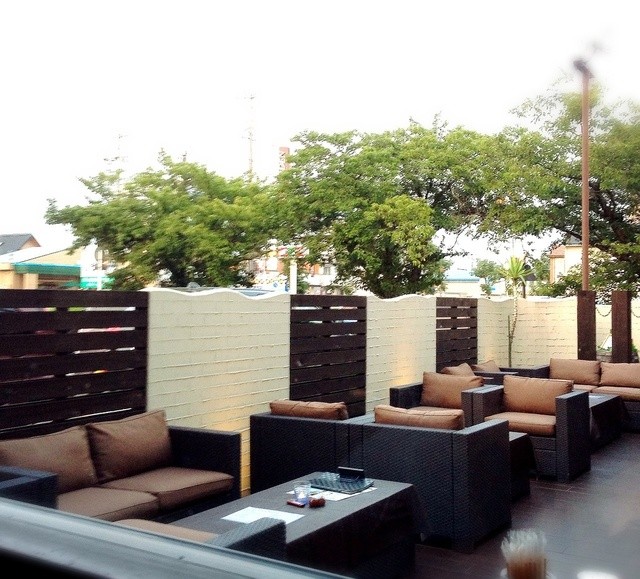 BACCHUS Okazaki Ten photo 4