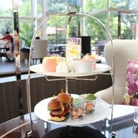 Lounge & Dining G - 