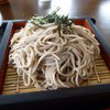 春の家うどん