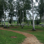 フラテッロ・ディ・ミクニ - 森のガーデン