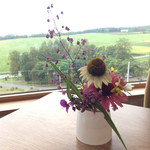 フラテッロ・ディ・ミクニ - ロケーションも美味です