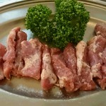 Horumon Kankoku Ryouri Kiruton - 豚ハラミ