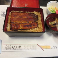 鰻割烹 伊豆栄 本店 - 松