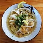 西端手打 上戸うどん - 冷かけうどん