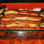 Unagi Miyagawa - 