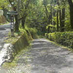 車１台分の幅ですが、こちらの坂を下りて行きます